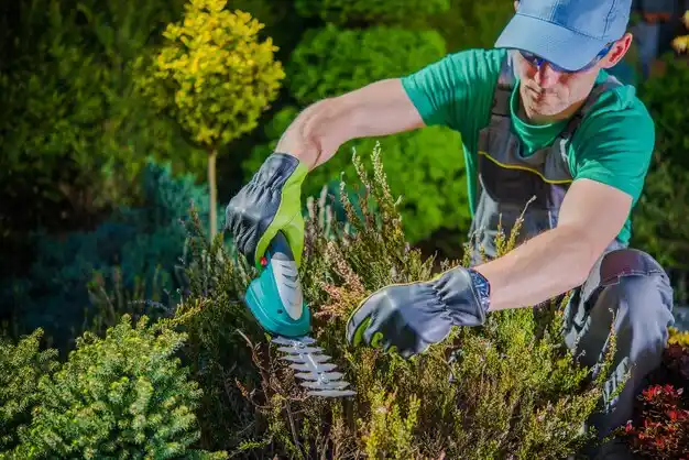 landscaping services Sea Cliff
